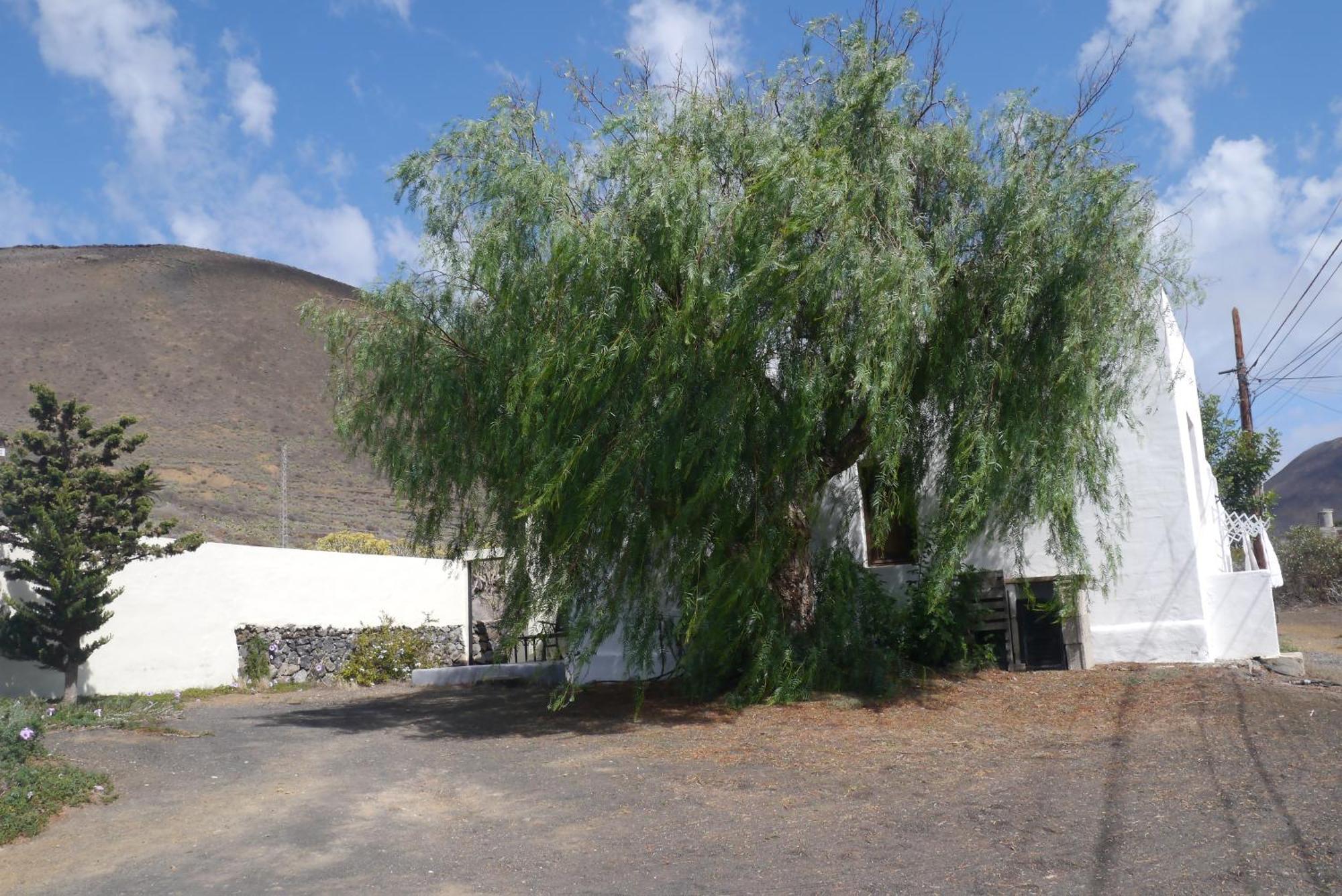 Villa Casa Olga Máguez Esterno foto