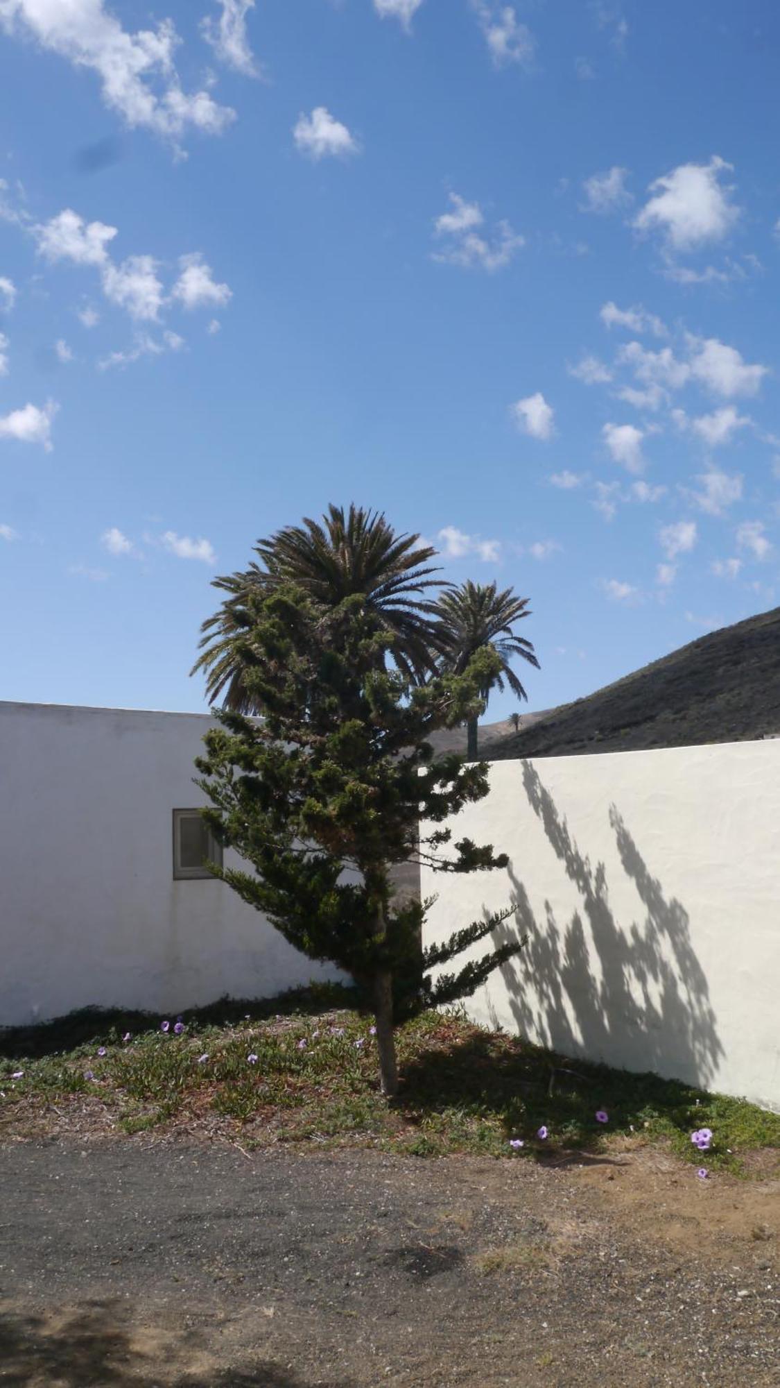 Villa Casa Olga Máguez Esterno foto